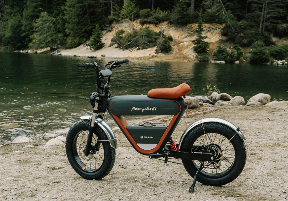 Convert Your Bike Vs Buy An Electric Bike