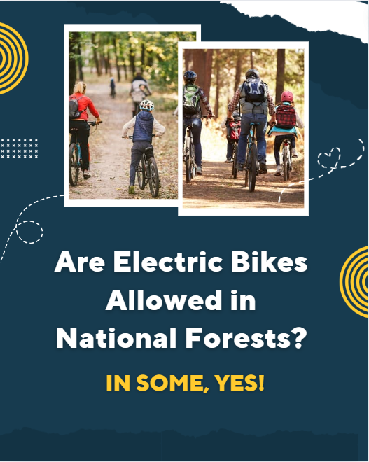 Are electric bikes allowed in national forests? (in some, yes!)