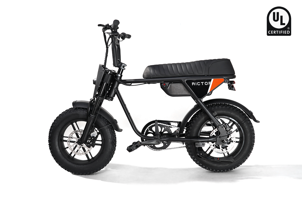 Flexx Ebike