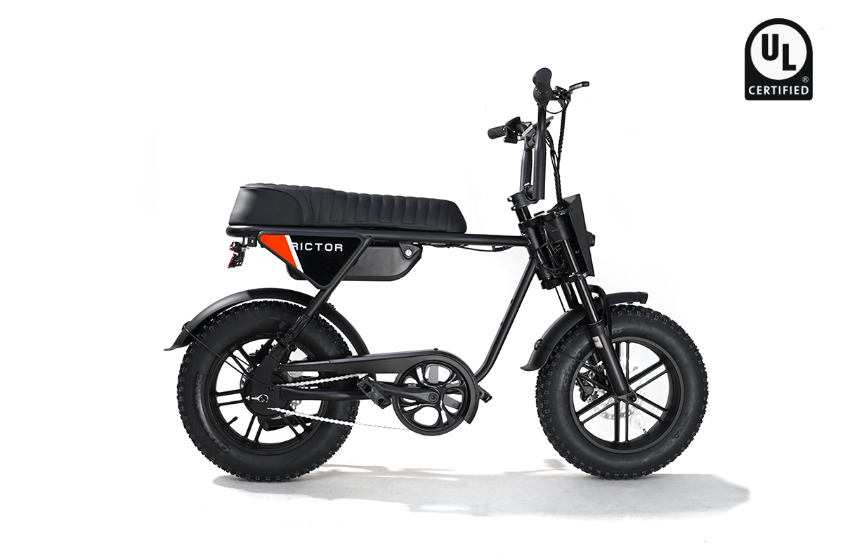 Flexx Ebike