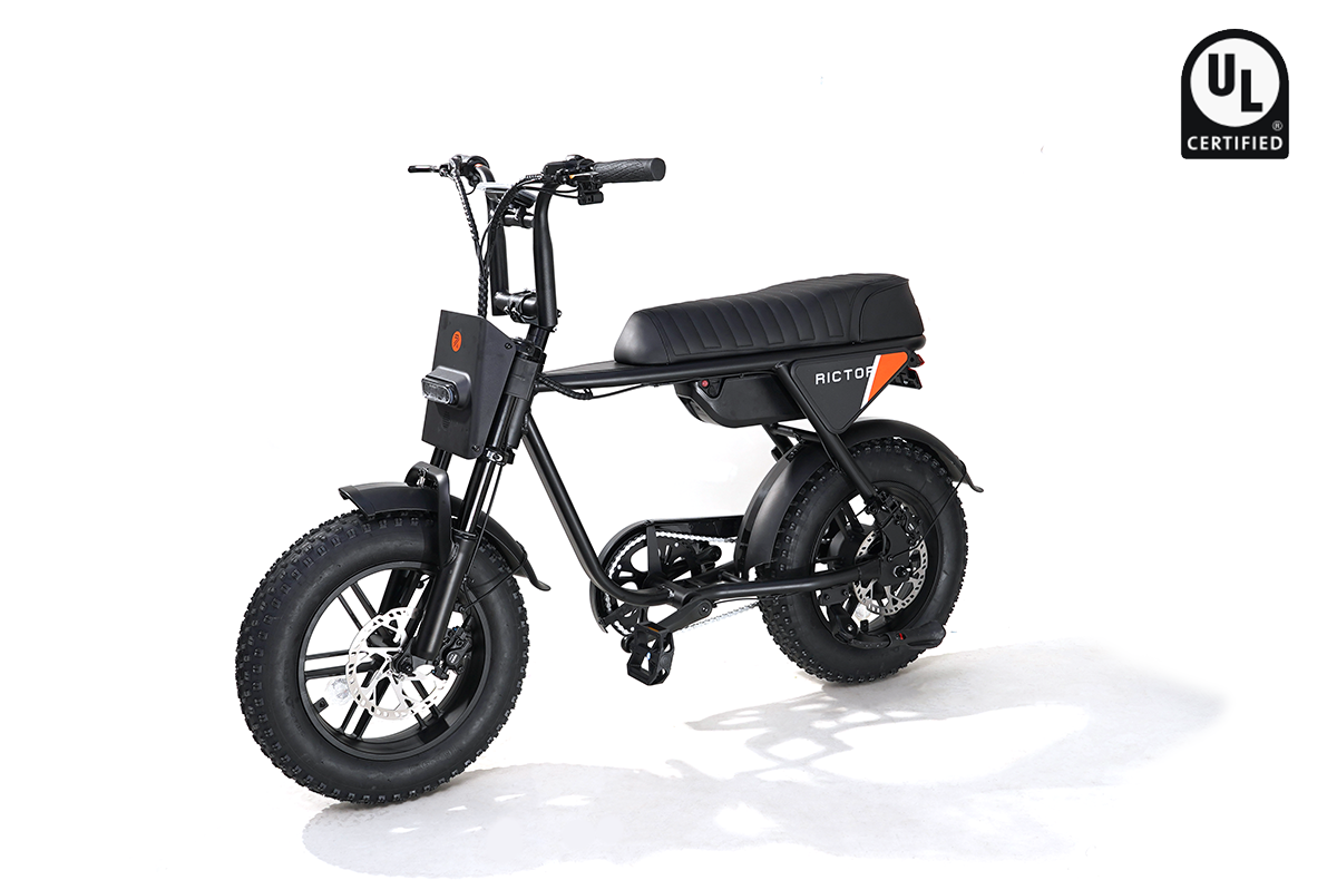 Flexx Ebike