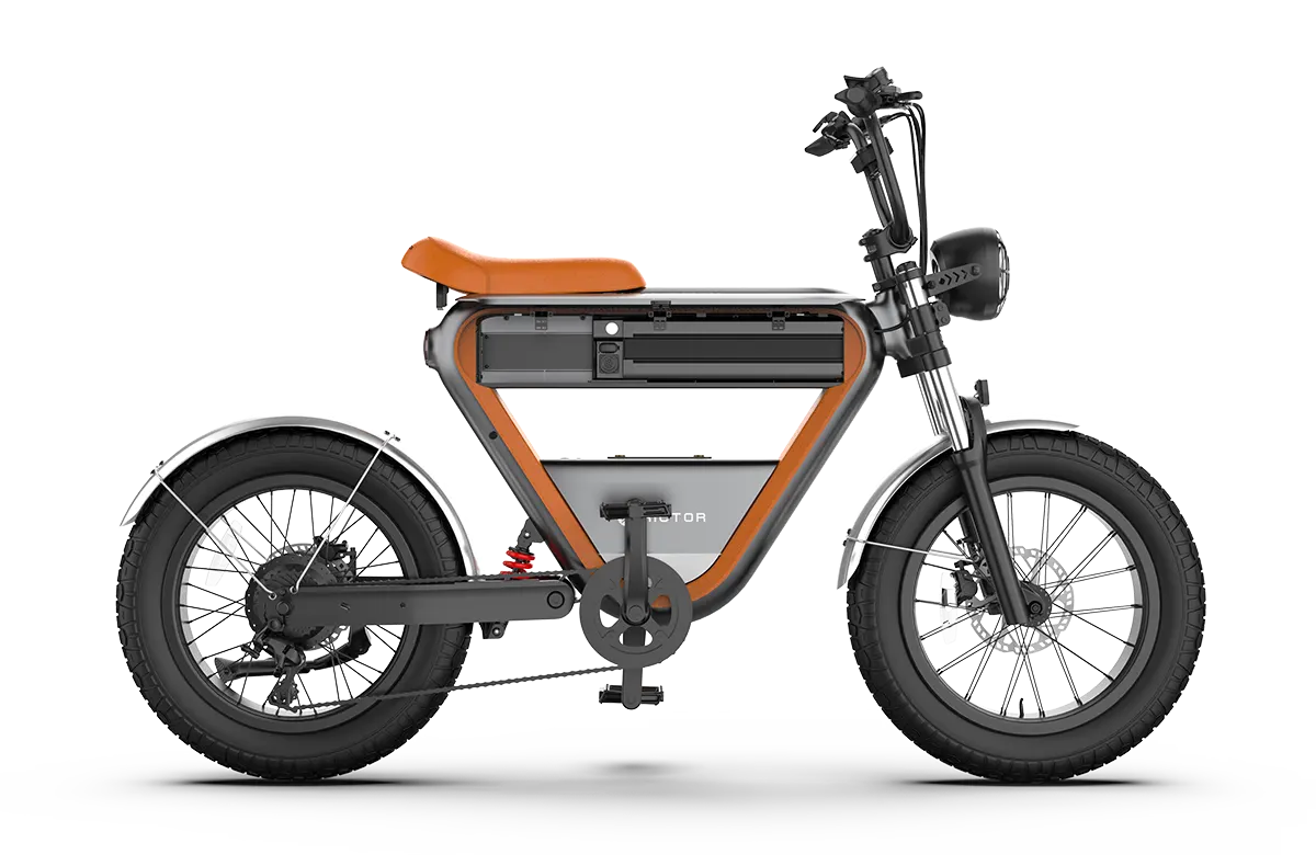 RICTOR K1 is an electric bicycle with a large triangle frame and dual batteries