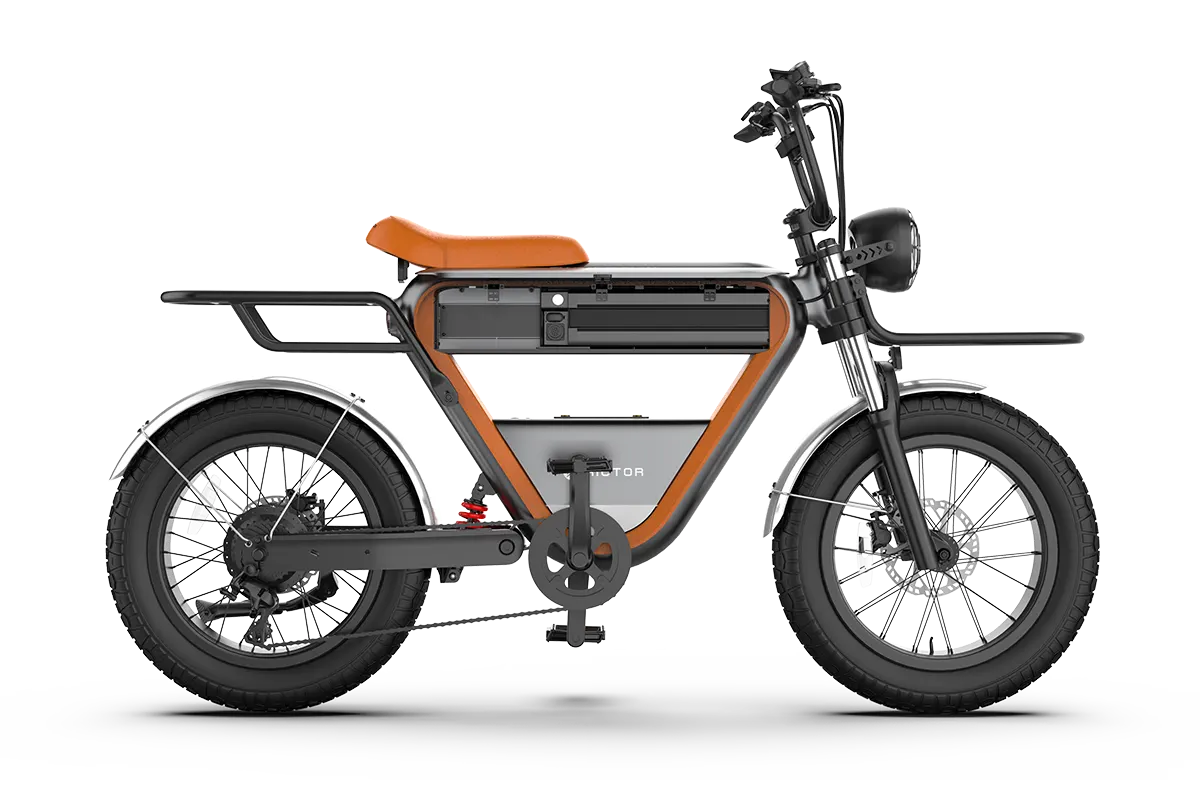 Rictor K1 electric bike with wide tires and comfortable cushions