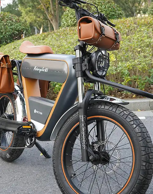 Reviving the Classic: The Allure of RICTOR Vintage Motorcycles.