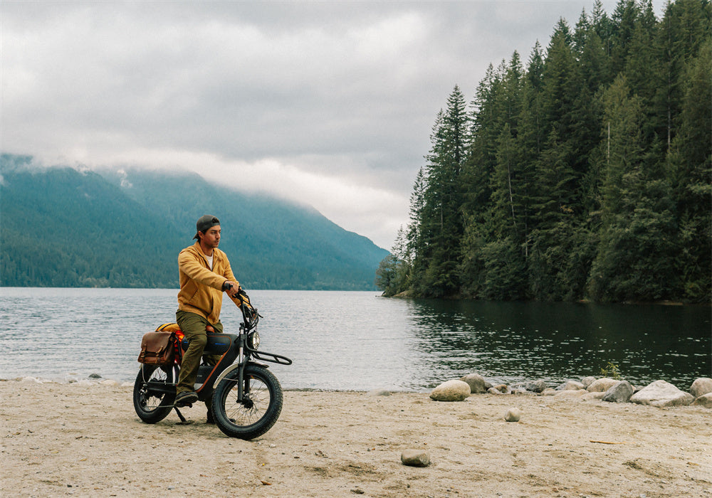 How Much Does It Matter What Bike You Use to Tow a Dog Trailer?