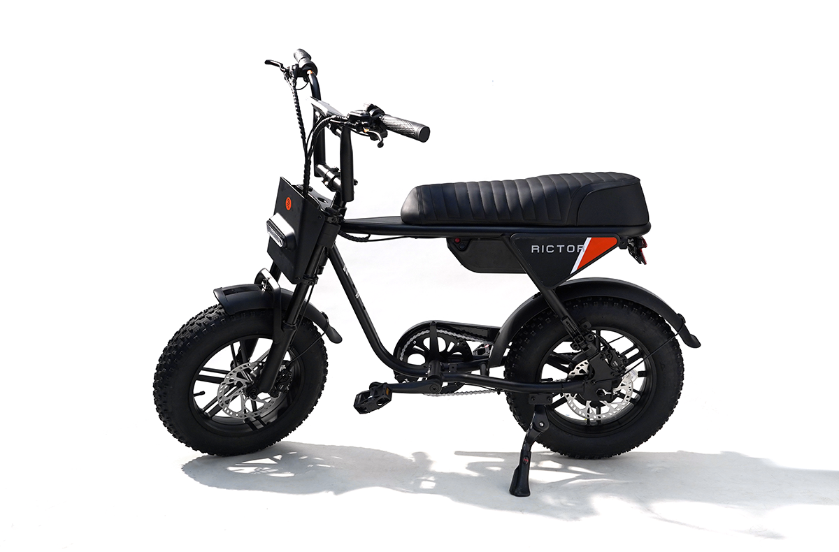 Flexx Ebike