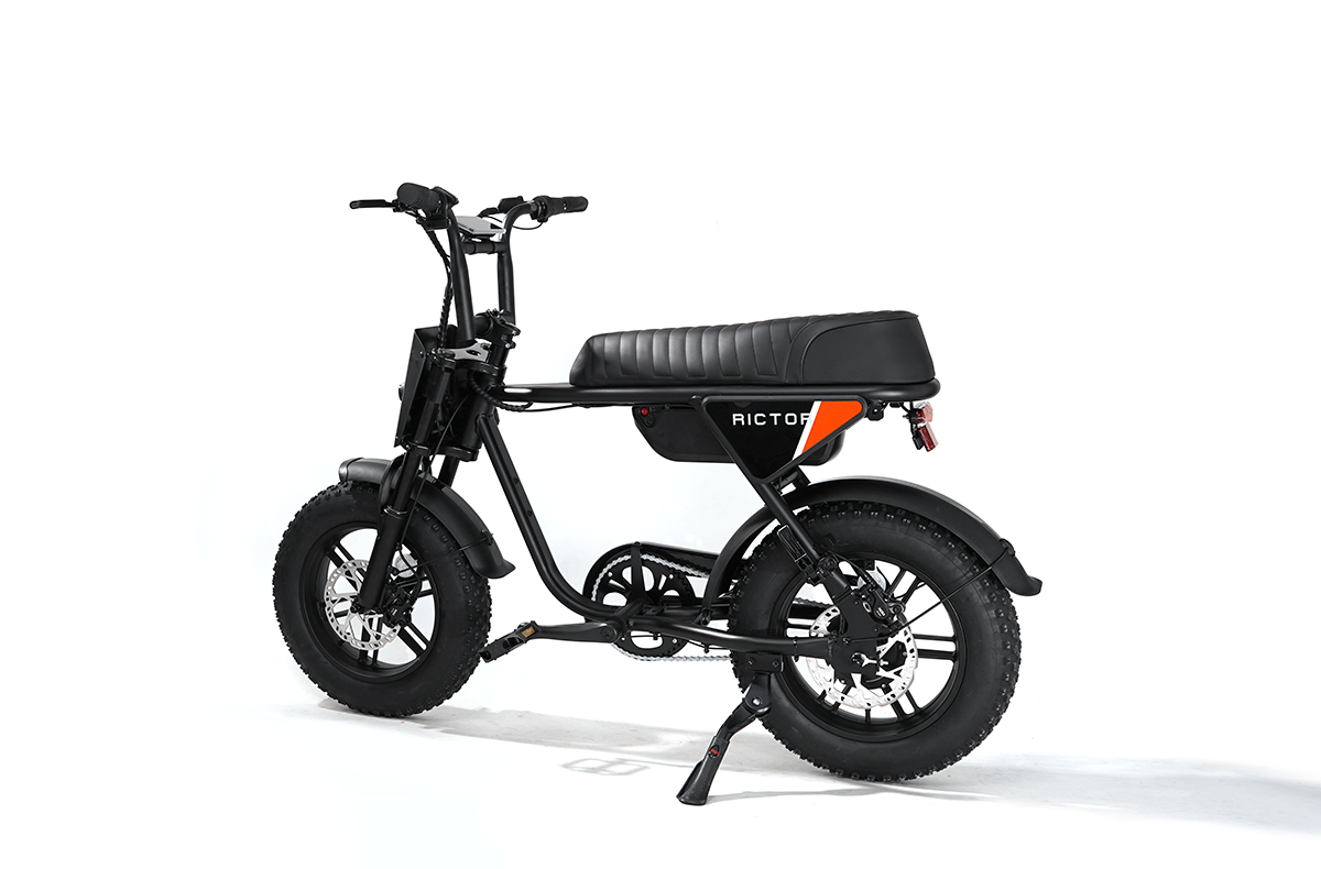 Flexx Ebike