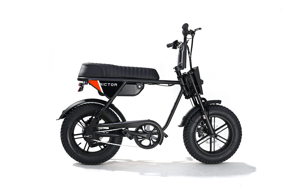 Flexx Ebike
