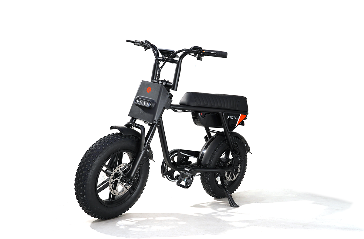 Flexx Ebike