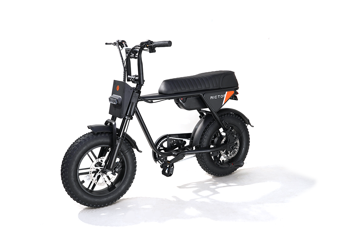 Flexx Ebike