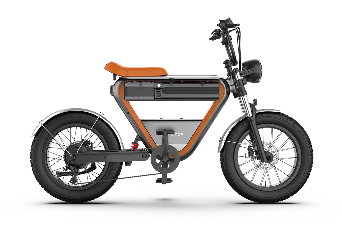 Rictor K1 Class Ebike Classic Vibe with Fast and Long Ride